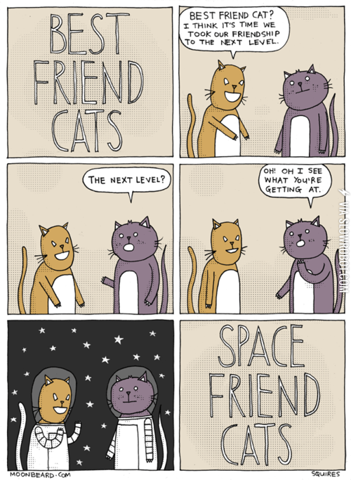 Best+Friend+Cats.
