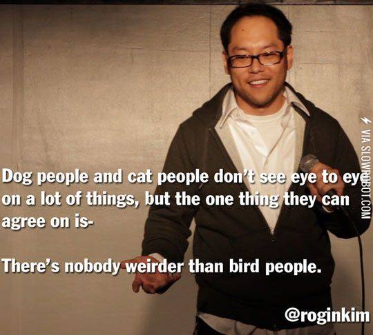 What+dog+and+cat+people+can+agree+on.