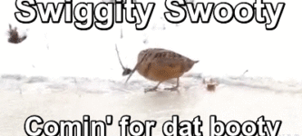 Swiggity+swooty.