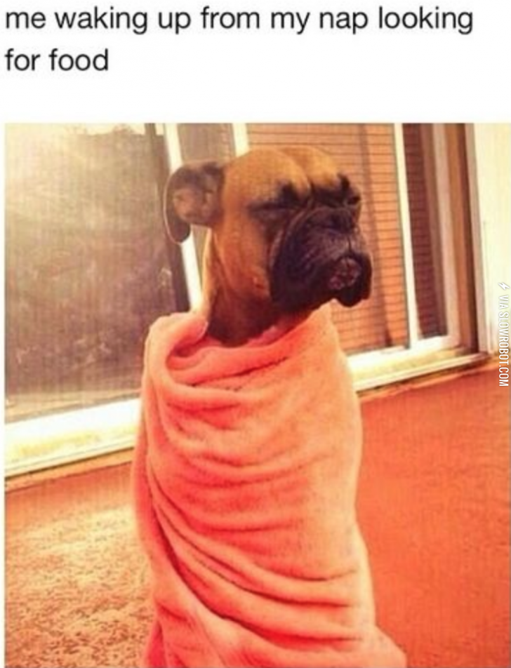 Where+are+the+snacks%26%238230%3B