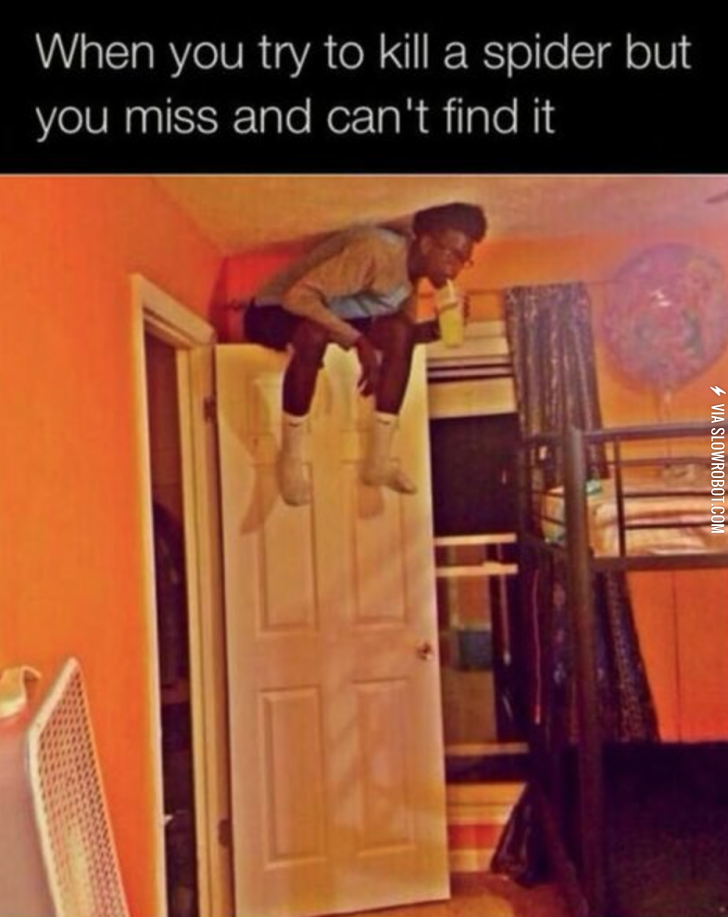 It+thinks+it+owns+the+place%26%238230%3B