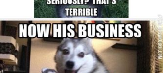 Pun+Husky+Is+At+It+Again