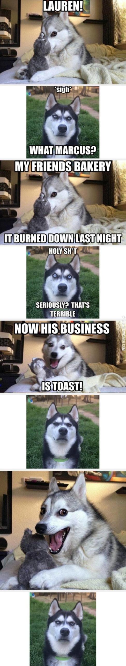 Pun+Husky+Is+At+It+Again