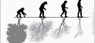 The+Advance+Of+Human+Evolution