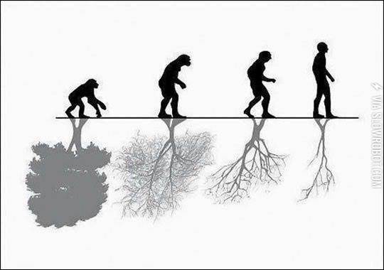 The+Advance+Of+Human+Evolution