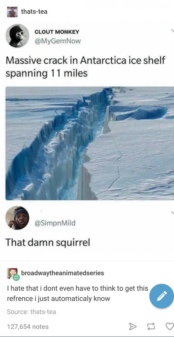 What+one+giant+walnut+has+cost+us.