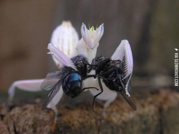 Now+kiss%26%238230%3B