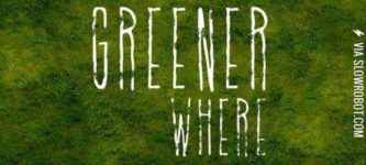 The+grass+is+greener+where+you+water+it.