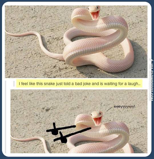 Bad+joke+snake.