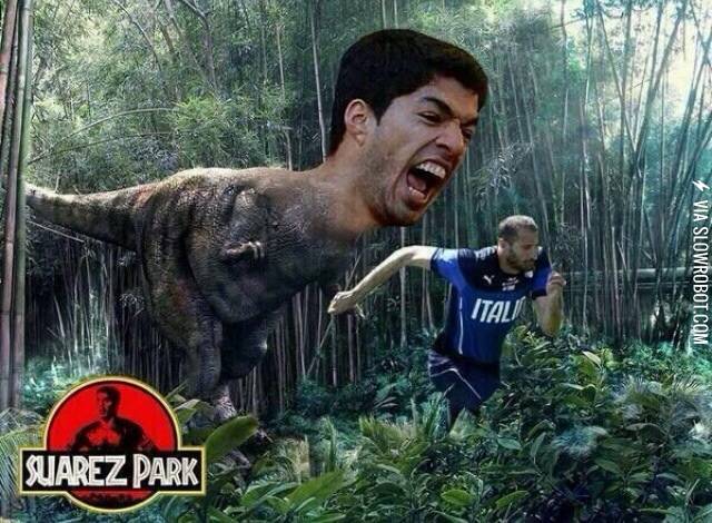 Suarez+Park