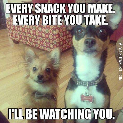 I+always+seem+to+have+an+audience