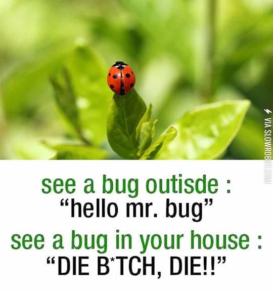 Whenever+I+See+A+Bug