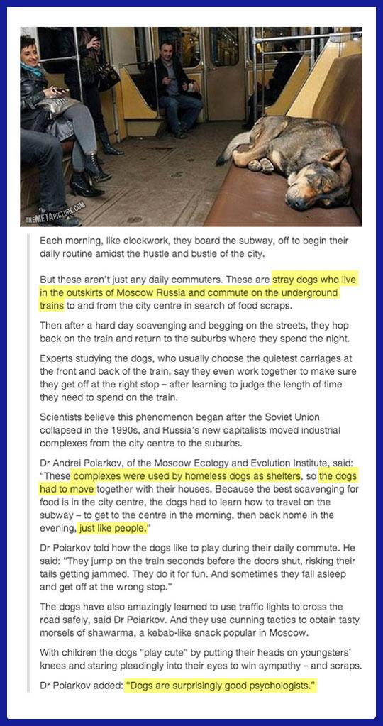 These+Aren%26%238217%3Bt+Just+Any+Daily+Commuters