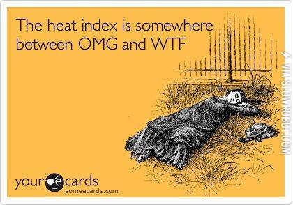 The+heat+index.