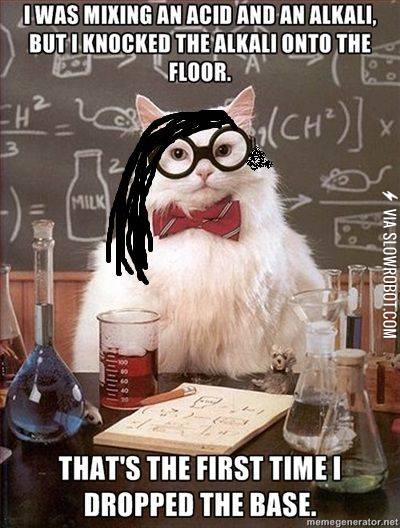 Skrillex+chemistry+cat.