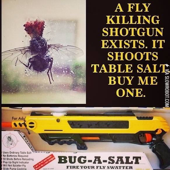 The+fly+killing+shotgun.