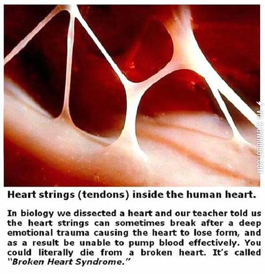 Broken+Heart+Syndrome