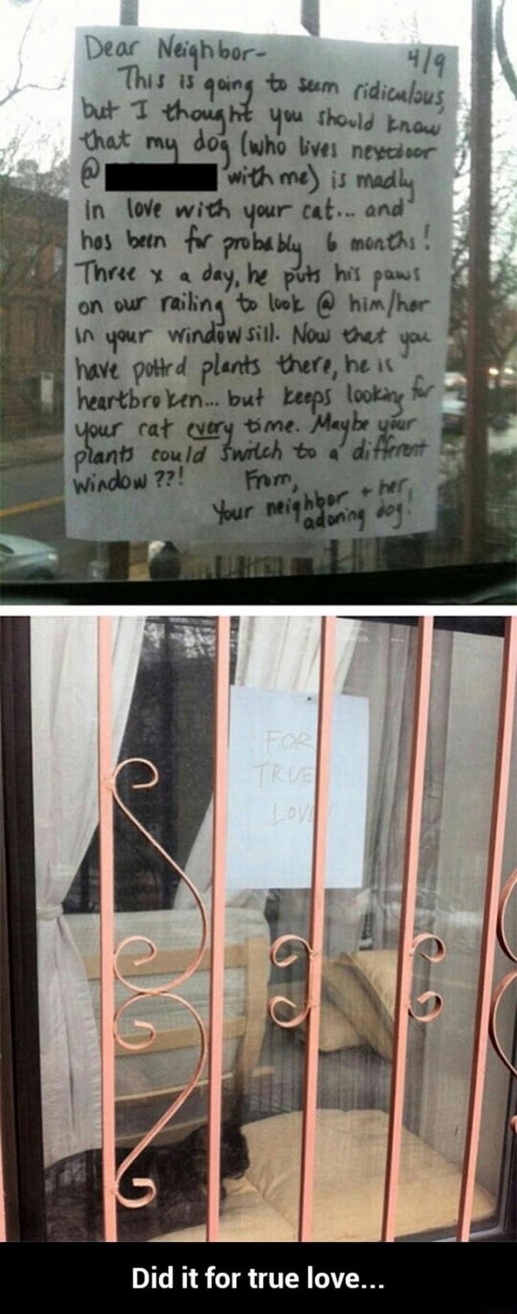 Did+it+for+true+love%26%238230%3B