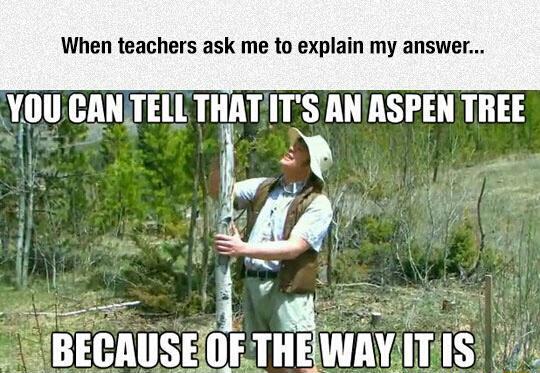 When+teachers+ask+me+to+explain+my+answer%26%238230%3B