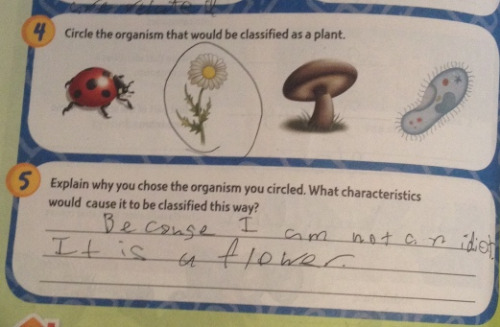 When+your+teacher+asks+you+to+explain+your+work.