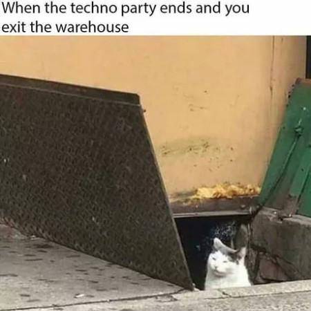 When+The+Techno+Party+Ends+And+You+Exit%26%238230%3B
