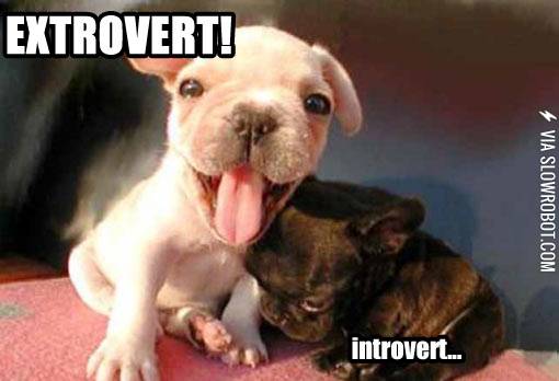 Extrovert+vs.+introvert.