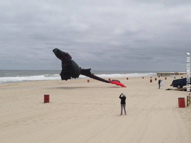 Saw+this+awesome+toothless+kite+on+the+beach