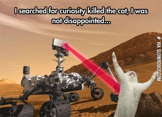Curiosity+killed+the+cat.
