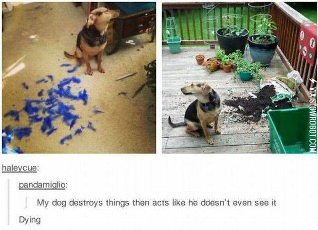 Just+pretend+like+nothing+happened%26%238230%3B