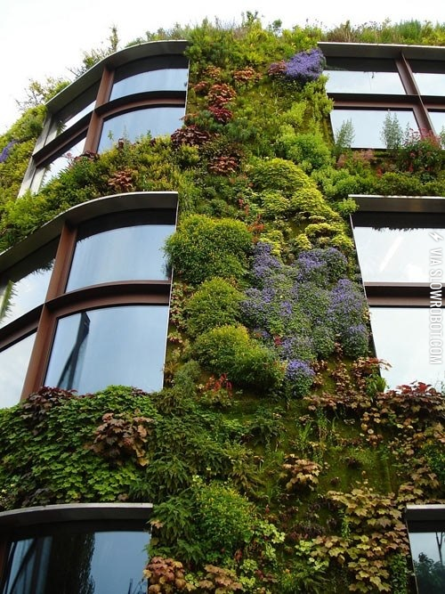 Why+not+do+this+to+all+buildings%3F