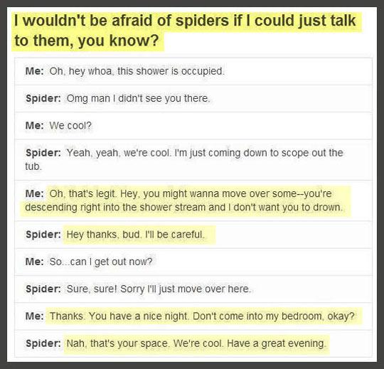 If+Only+Spiders+Could+Actually+Talk