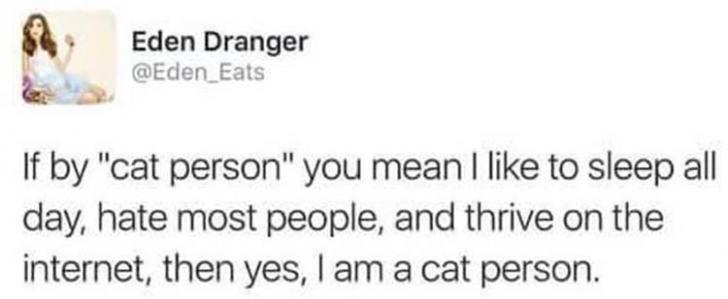 Cat+Person