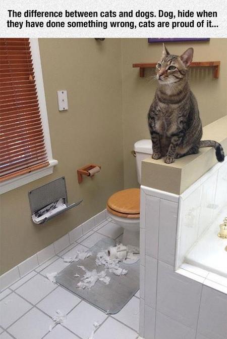 They+Just+Don%26%238217%3Bt+Care