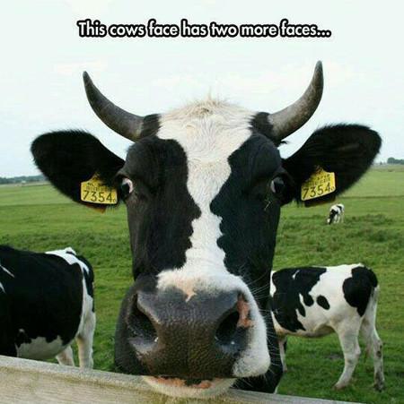 There%26%238217%3Bs+No+Way+This+Is+Not+Photoshopped