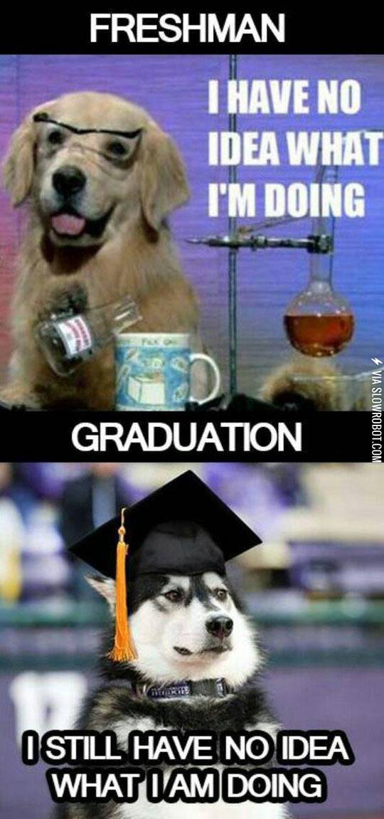 As+a+graduate%26%238230%3B