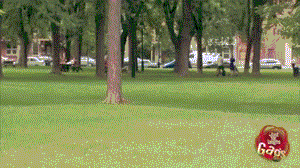 I+wish+I+had+a+twin+just+to+pull+this+kind+of+prank