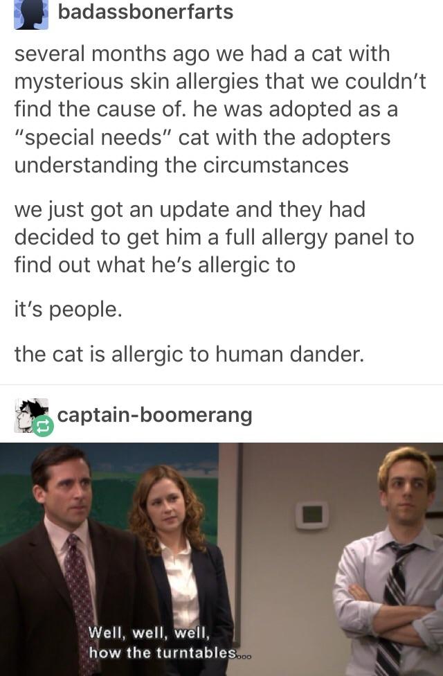 How+the+turntables+turn.