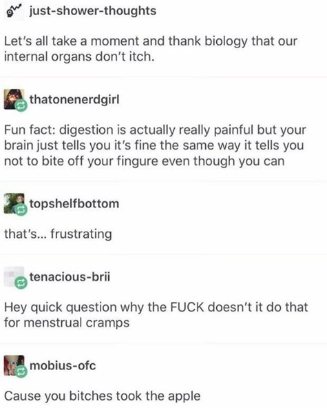 You+took+the+apple%26%238230%3B