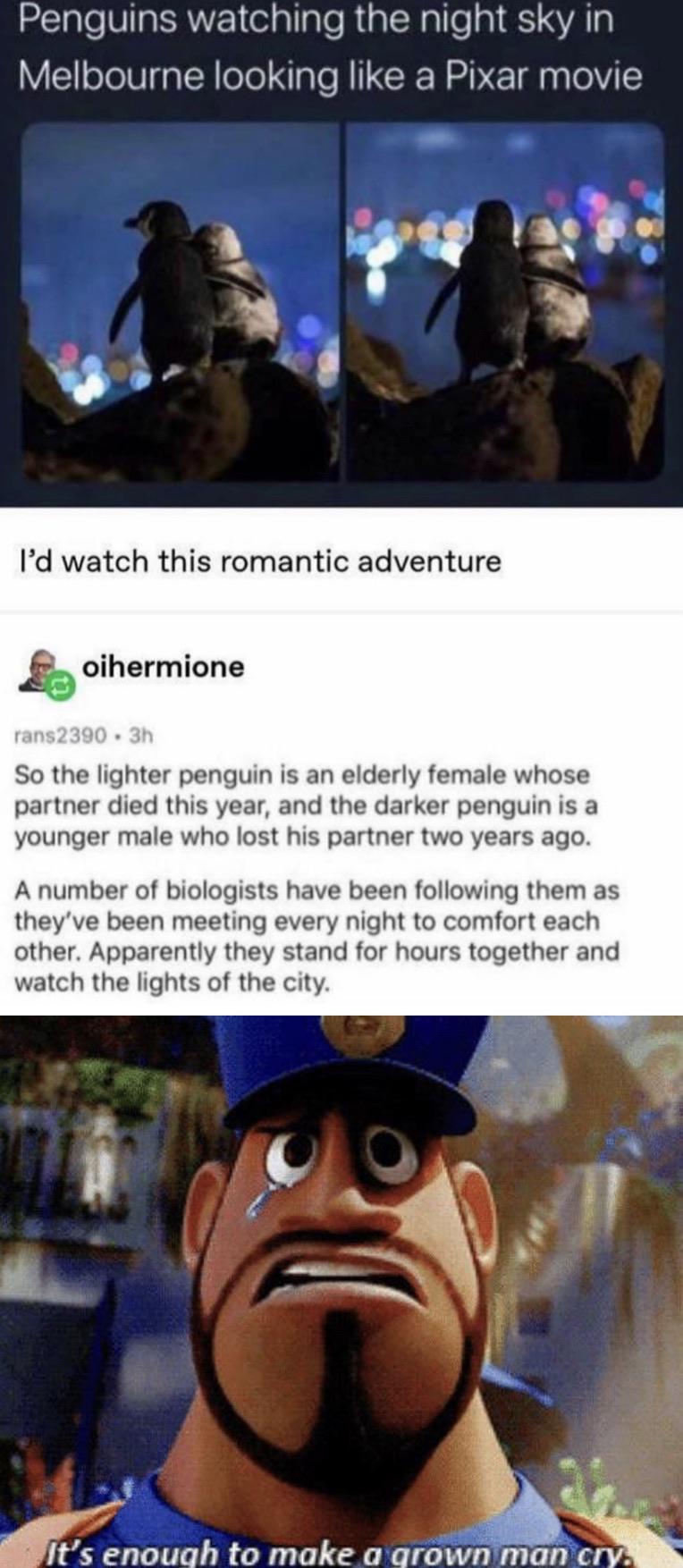 I%26%238217%3Bm+not+crying%2C+we%26%238217%3Bre+crying%21