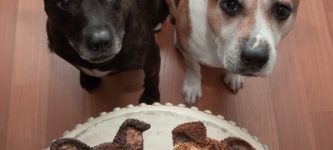 Birthday+pupcakes%21