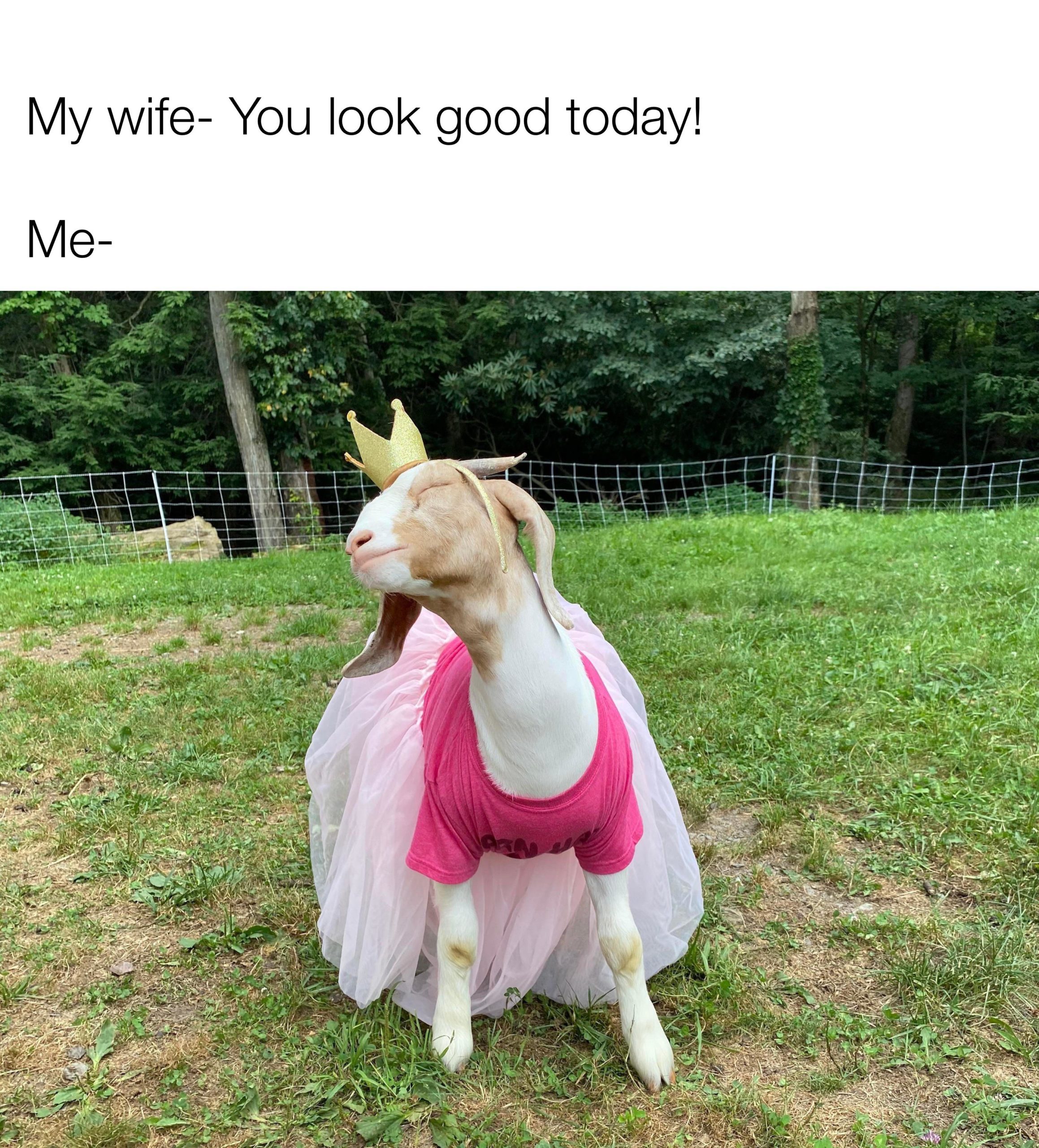 I%26%238217%3BM+A+PRETTY+PRINCESS