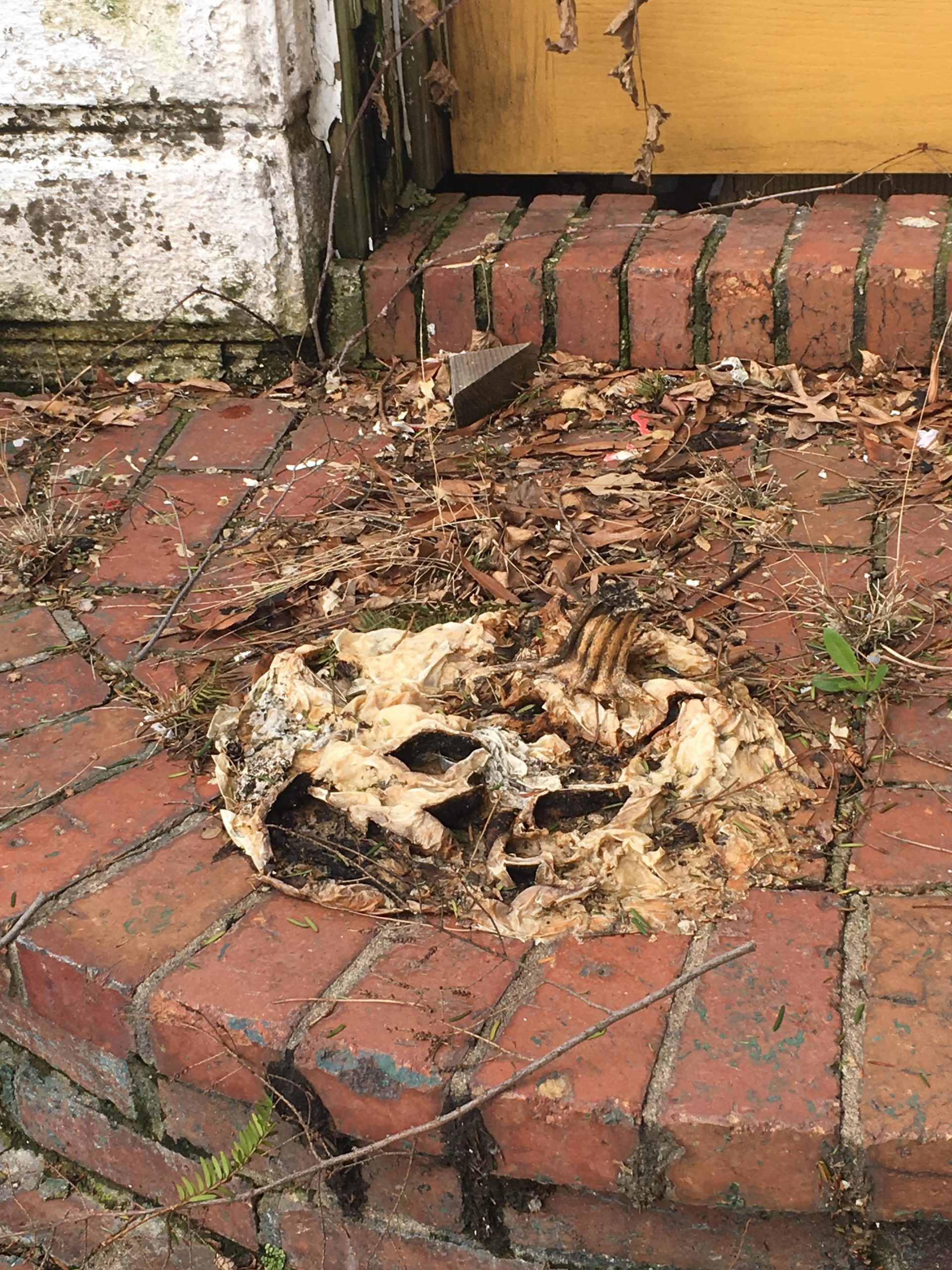 A+jack-o-lantern+on+the+porch+of+an+abandoned+house