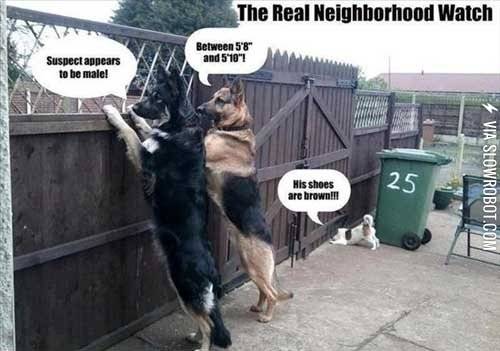 The+real+neighborhood+watch.