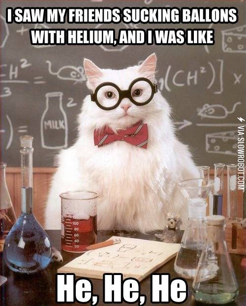 Chemistry+Cat+strikes+again.