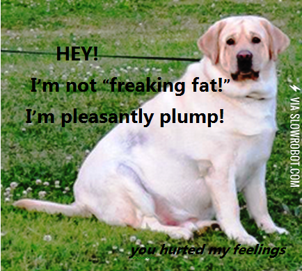 Sticks+and+Stones+May+Break+Bones%2C+But+Words+Can+Hurt+Me