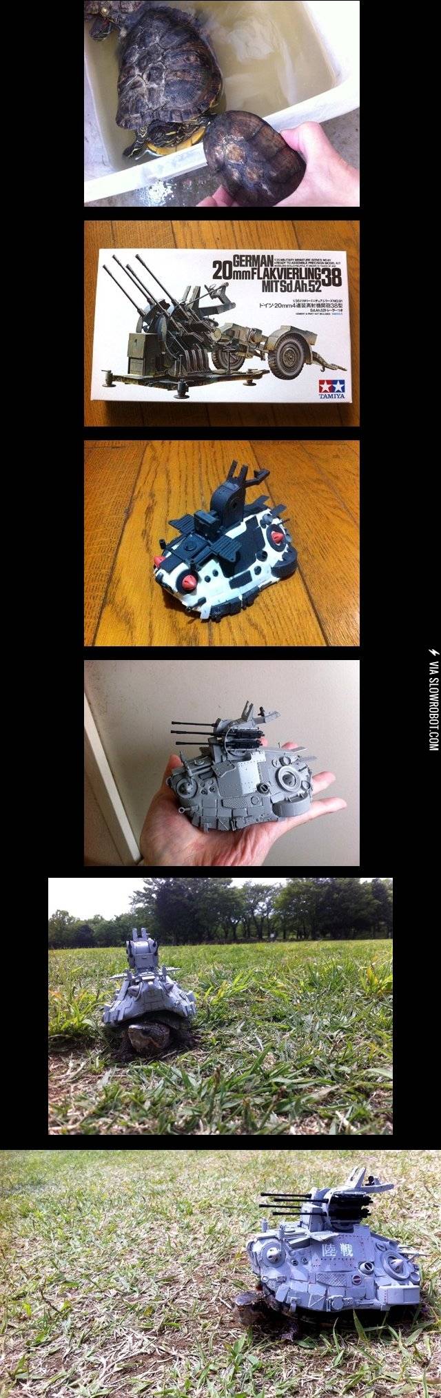 As+if+turtles+weren%26%238217%3Bt+cool+enough