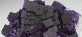 Fluorite.+It+looks+like+a+slice+of+the+night+sky