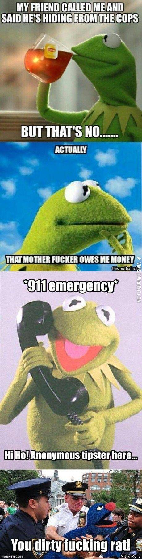 Kermit+gonna+get+some+stitches