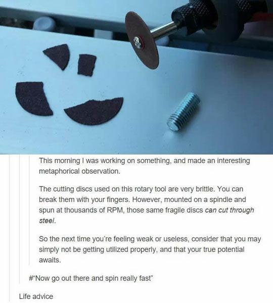 Metaphorical+Observation