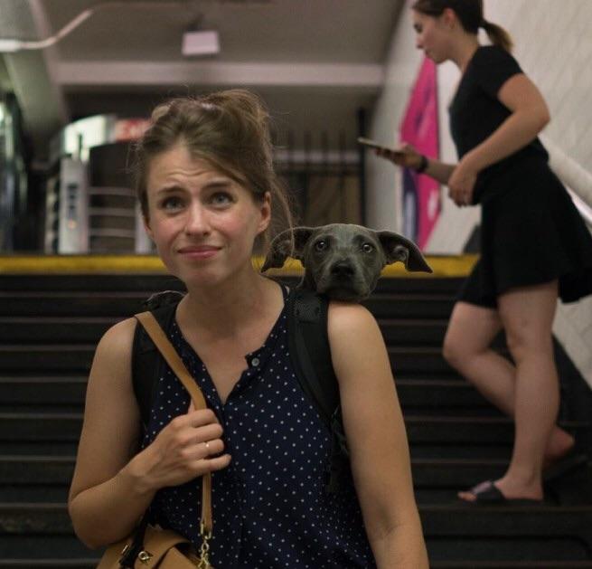 Doggy+the+House+Elf.